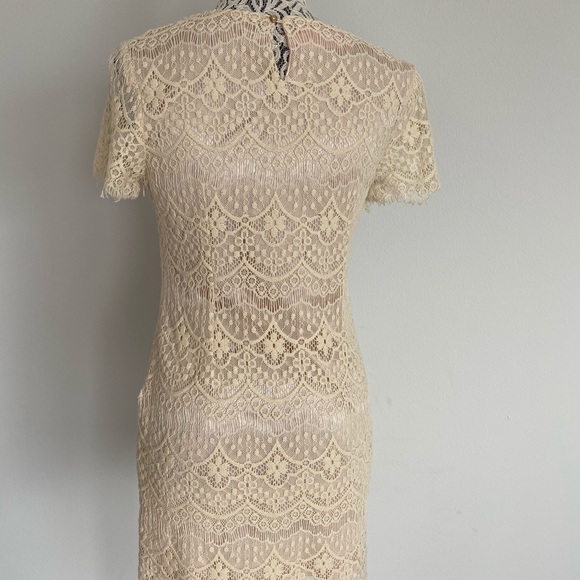 Cream lace mini dress with scoop neck and short sleeves - Picture 4 of 4
